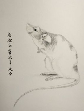 鼠年 - 21 x 29,7 cm