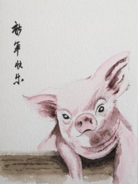 Cochon - 29,7 x 42 cm