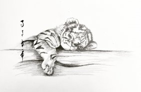 Tigre  - 29,7x 42 cm